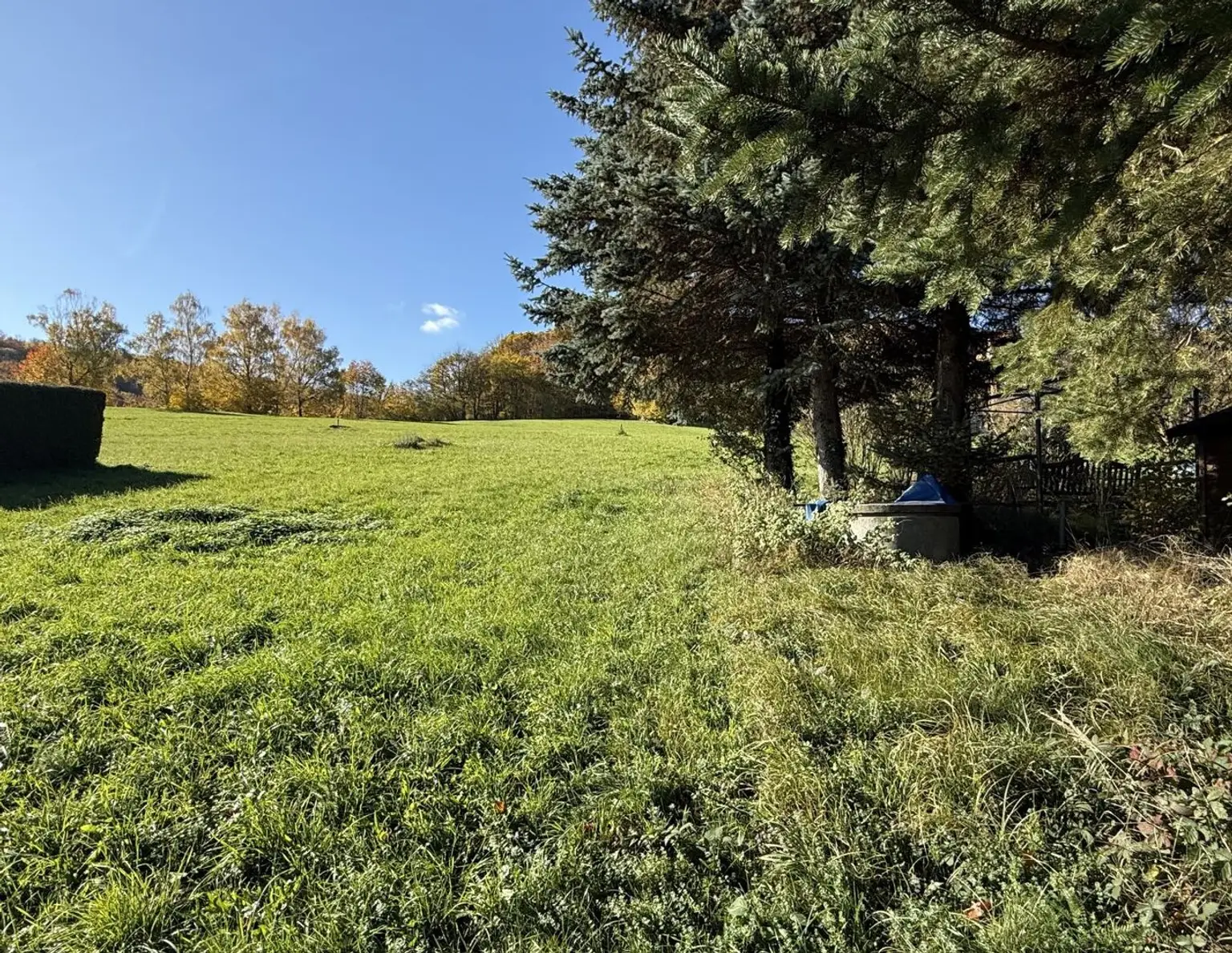 Wo der Morgen nach Wald duftet!