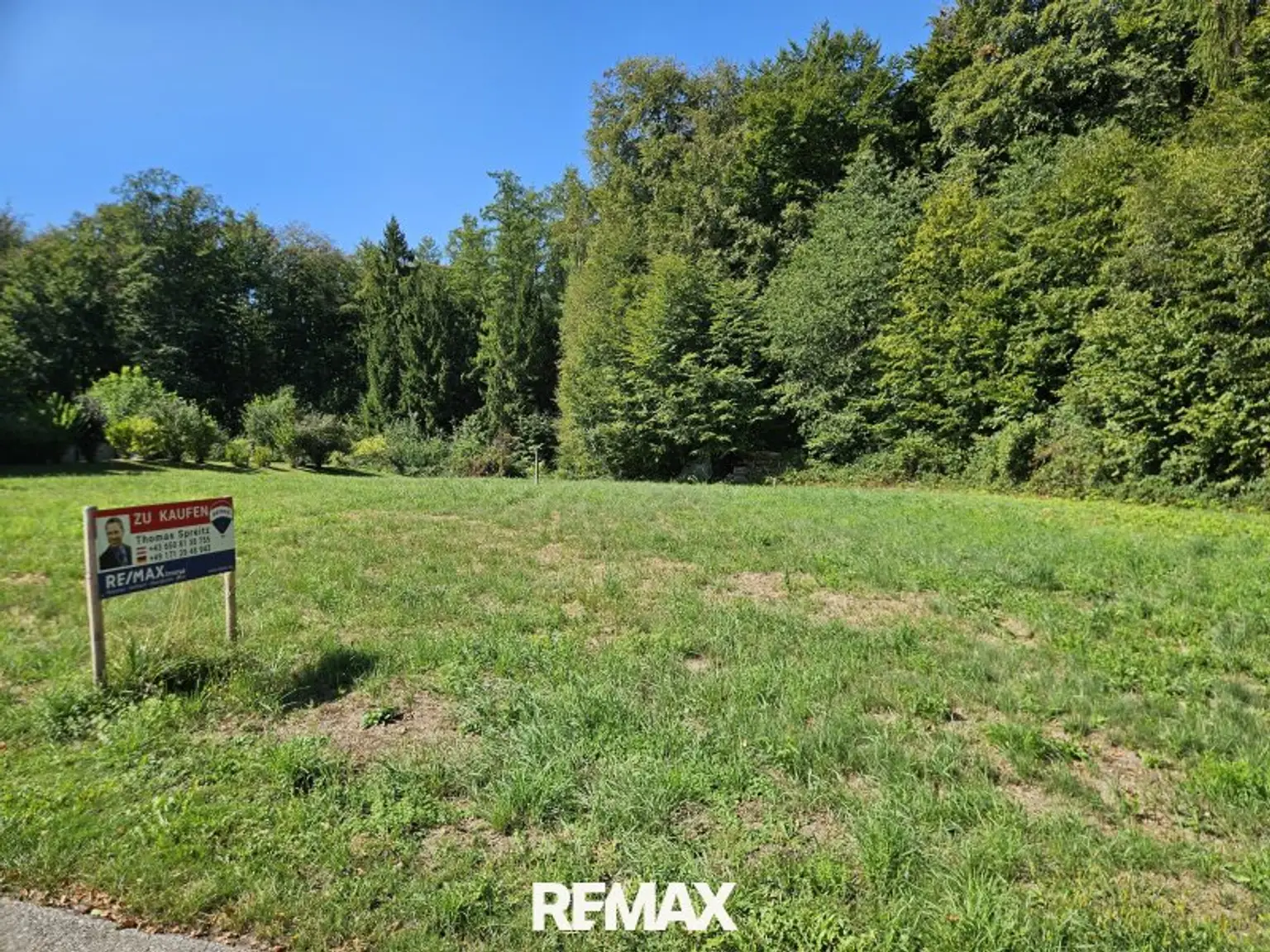 Baugrund am Waldrand
