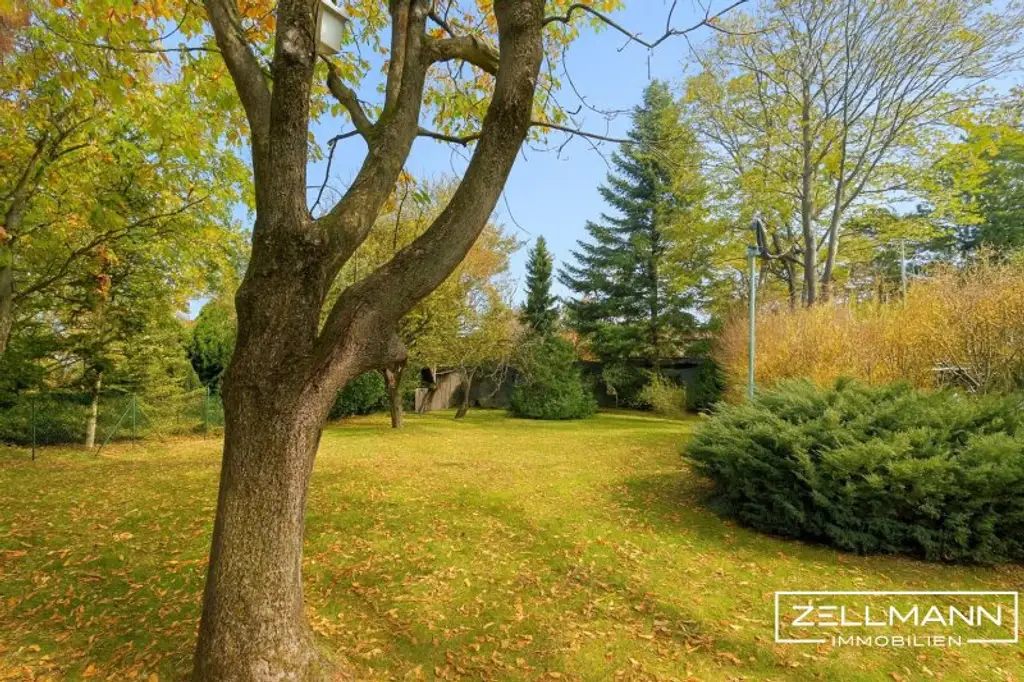 Ein Ort zum Wohlfühlen – für Familien, Träume und Gartenfreuden | ZELLMANN IMMOBILIEN