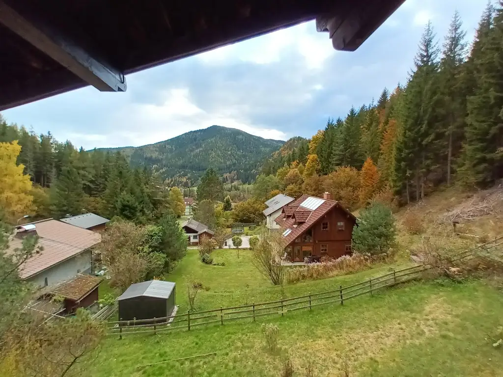 Solides Wohnhaus mit Potenzial in ruhiger Waldrandlage