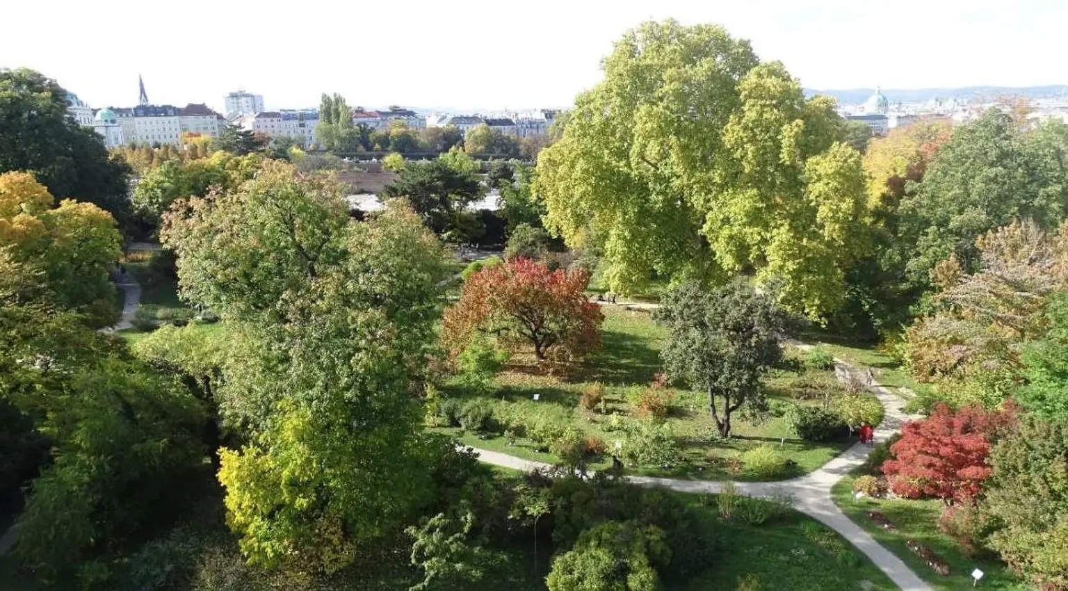 Blick auf den Botanischen Garten