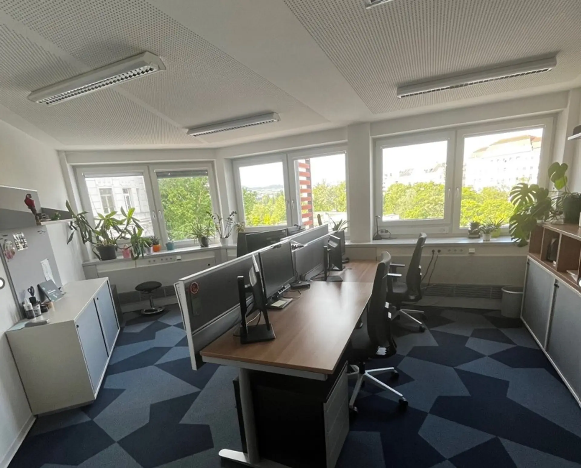 Bild 5