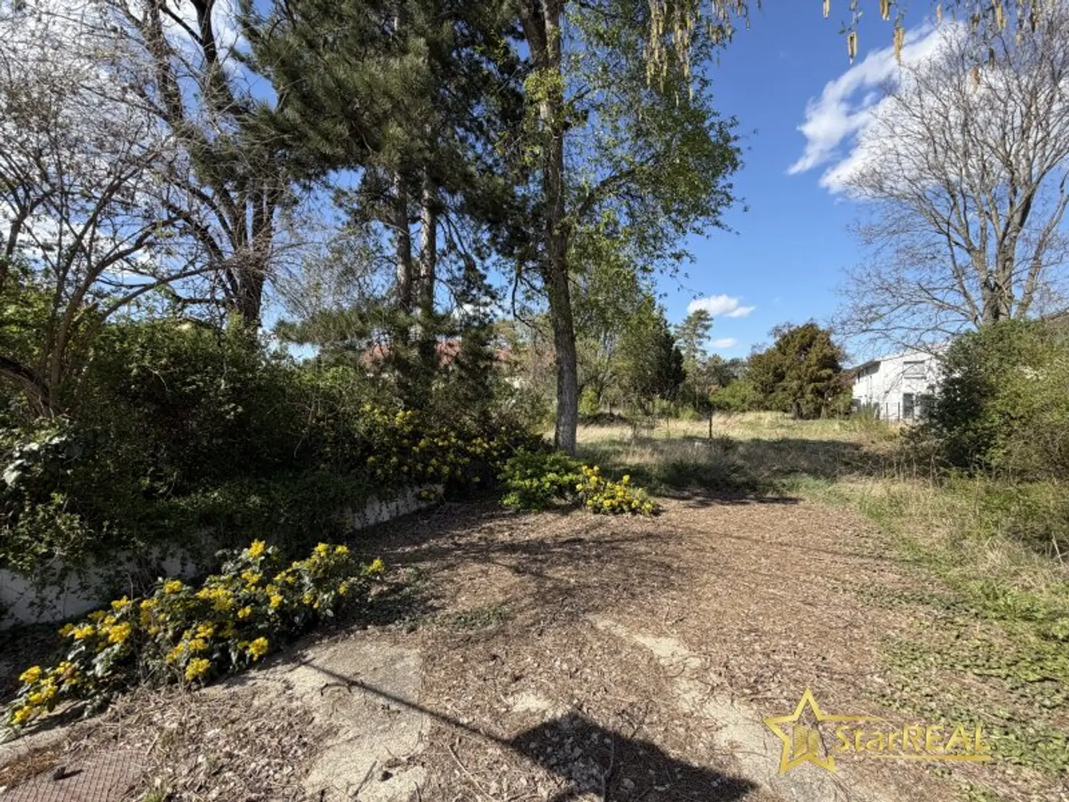 186m² NFL! WIENERBERGER-ZIEGELHAUS MIT KELLER. 5 ZIMMER. PROVISIONSFREI für den Käufer.