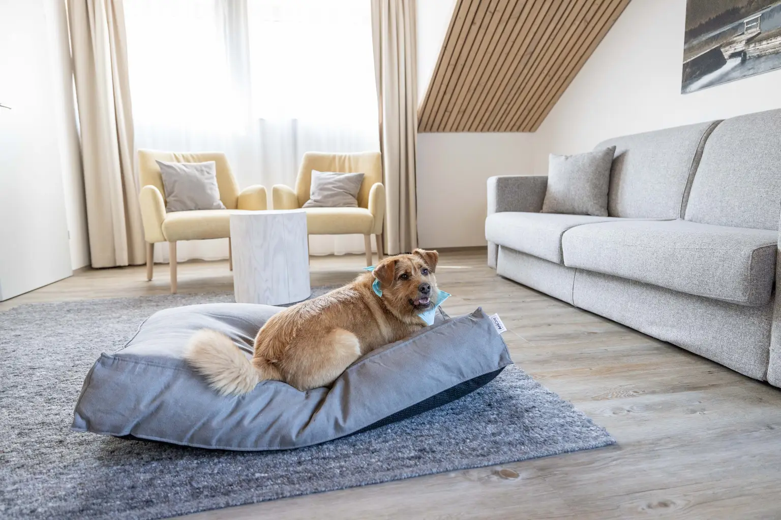 Dormio_Aparthotel_Hinterstoder_Steyrursprung_Living_Room_002.jpg