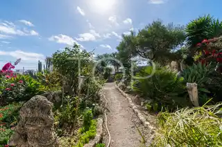 Villa-Granadilla-xxx-Teneriffa-24