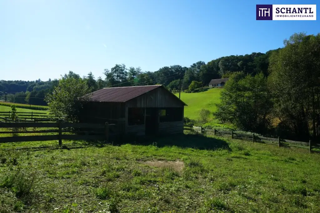 SENSATIONELLES JUWEL! Exklusiver Vierkanthof im Thermenland Steiermark – Wohnen, Reiten & Leben mit Pool und Natur!