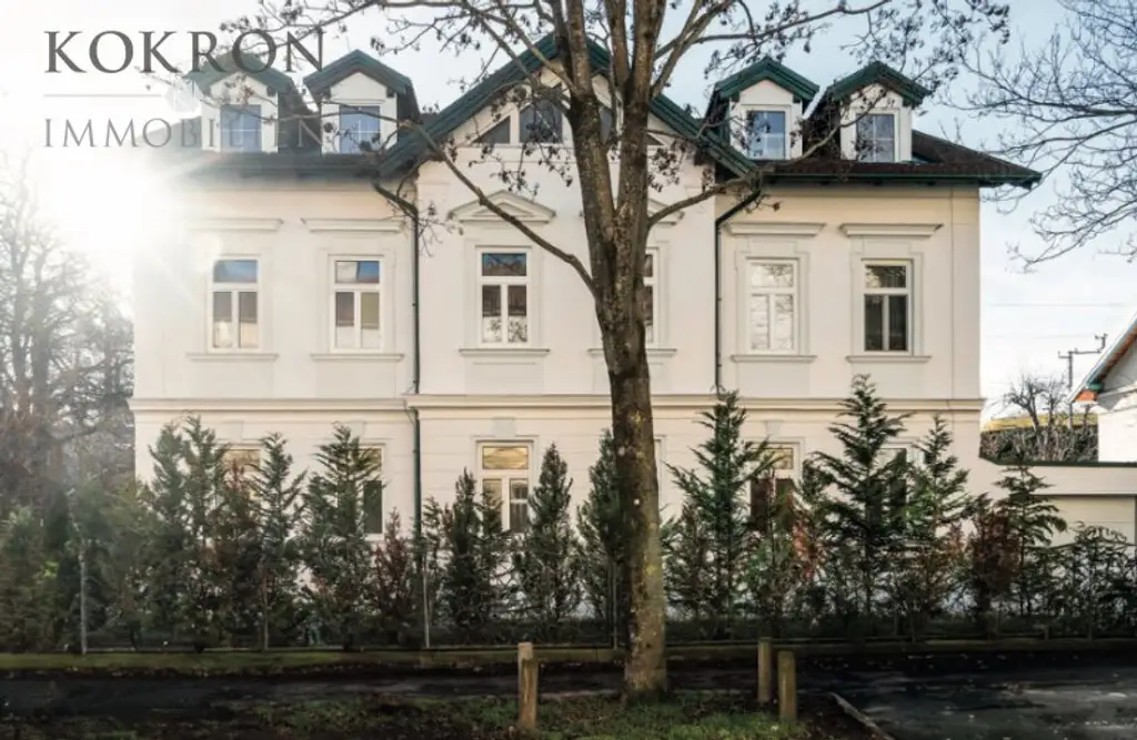 Jahrhundertwendevilla mit Seltenheitswert – im Bestand nutz- und renovierbar oder als attraktives 4-Parteien-Projekt übernehmbar