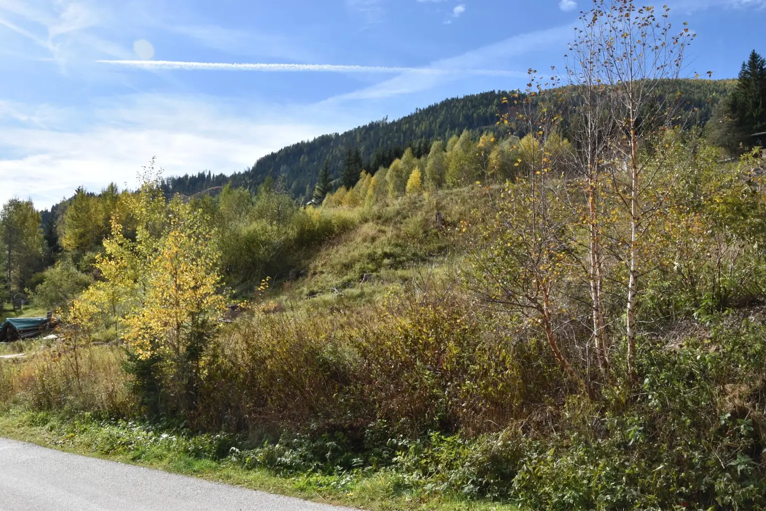 gesunde Natur