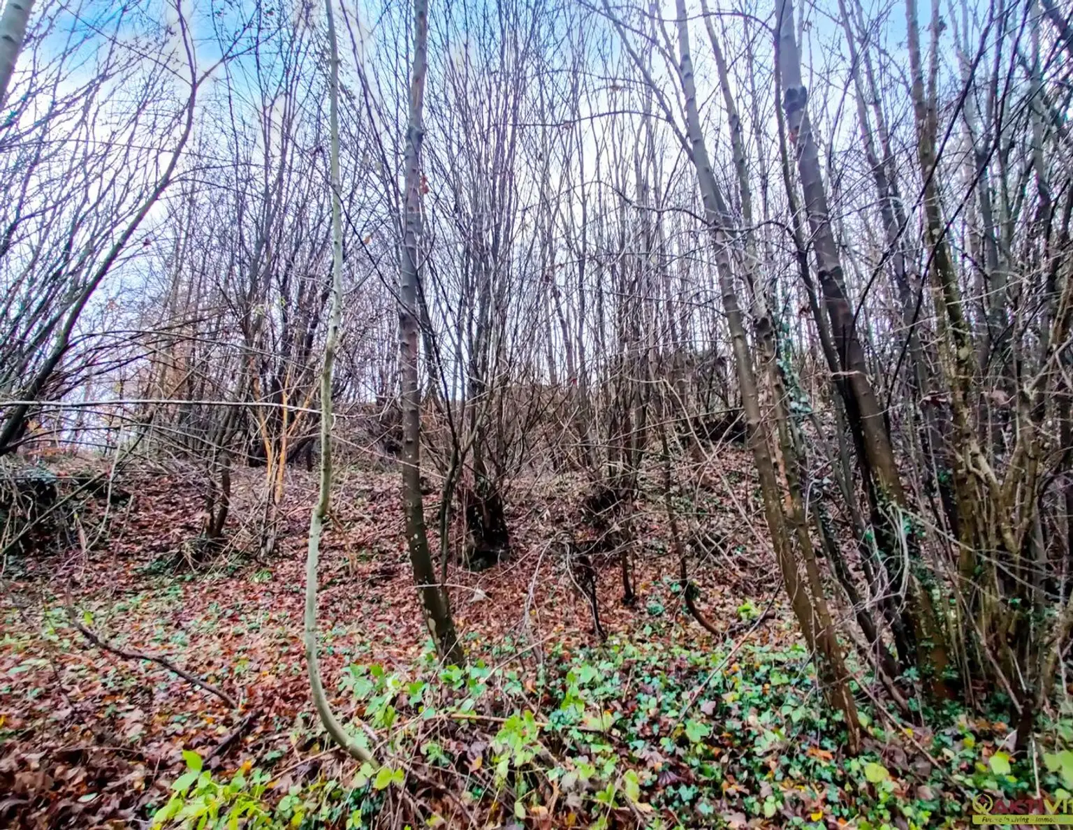 Wohnbau-Grund mit Waldanteil zentral in Lambach. - Infrastruktur und Bahn fußläufig. - Unter 15 Min. nach Wels.