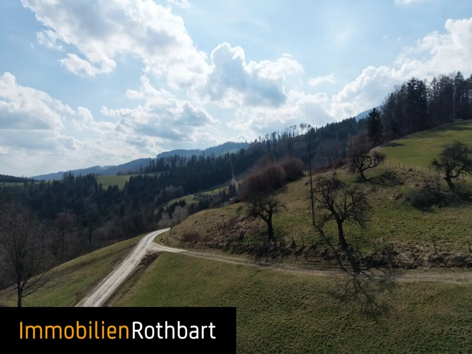 Wald mit Wiese und Zinshaus!