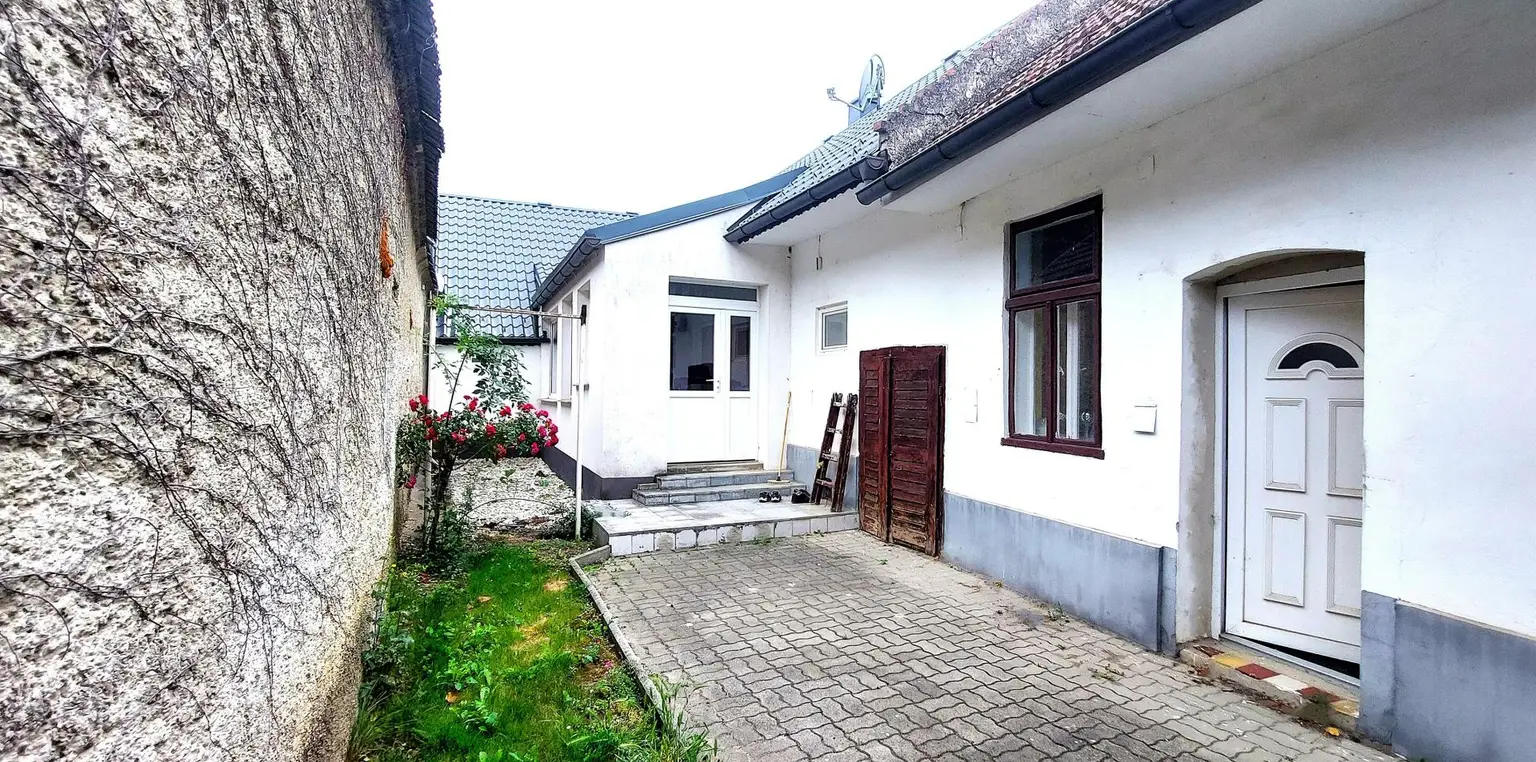 Haus gartenseitig