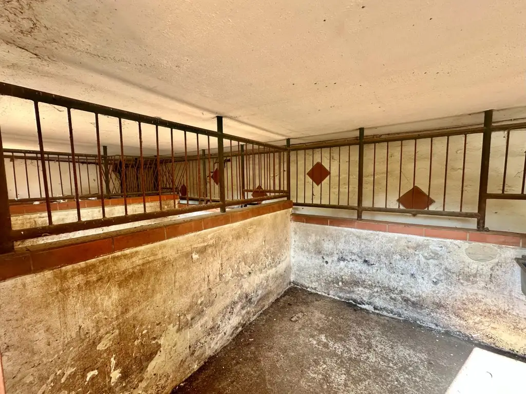 Reiterparadies im Weinviertel – Ihr Traum vom Landleben!