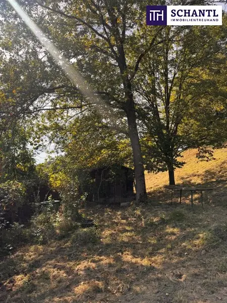 PREISREDUKTION! Attraktiver Baugrund inkl. Bewilligung für Wohnbauprojekt mit 4 Doppelhaushälften! Jetzt Anfragen!