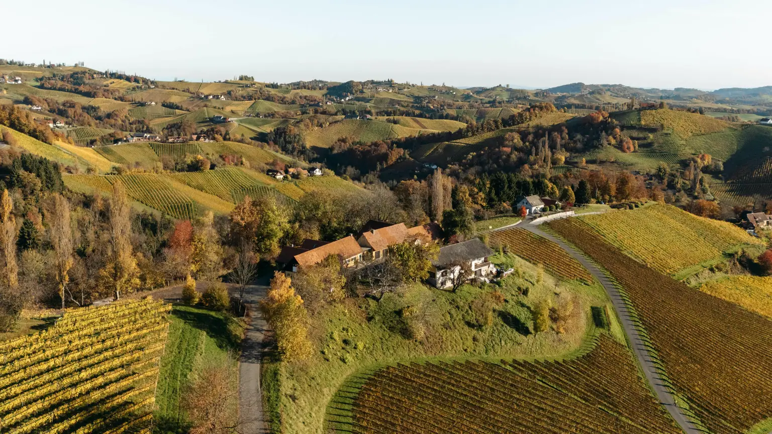 Buschenschank/Heuriger Eory zum Traubenkogel zu verkaufen!