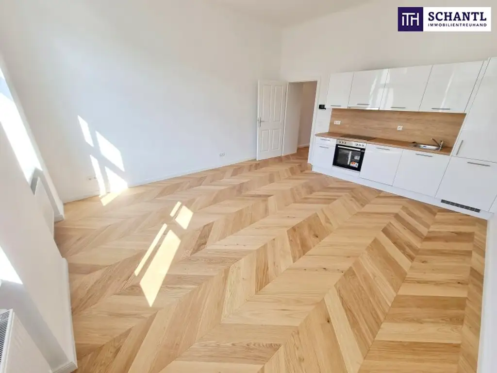 Viel Licht + Viel Raum + Viel Lebensfreude - Ihre Chance auf den sanierten Wohntraum! Frisch sanierte 2-Zimmer im Traumhaus in TOP Lage in 1150 Wien! Beste Infrastruktur und Anbindung!