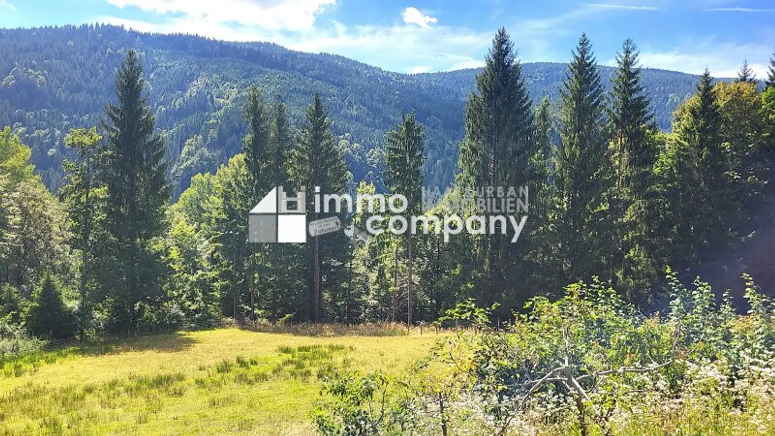 Wohnen direkt am Waldrand mit Panoramablick