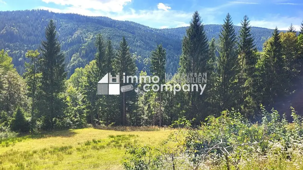 Wohnen direkt am Waldrand mit Panoramablick