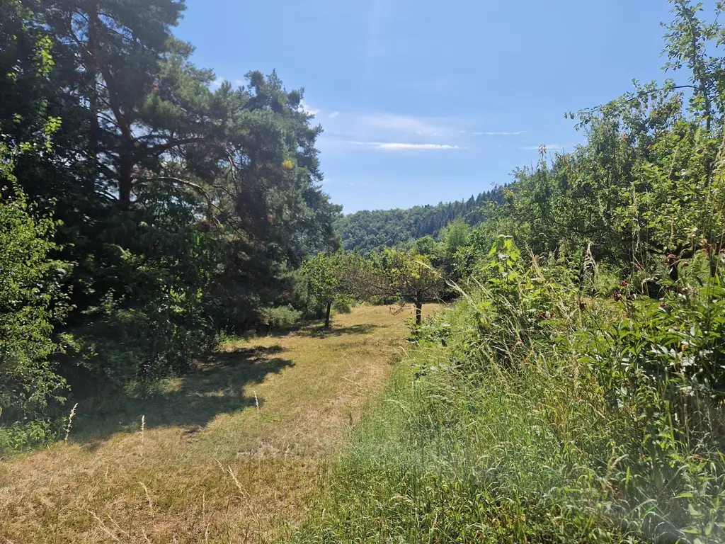 RARITÄT IN SENFTENBERG - GELEGENHEIT AUF EINEN WEINKELLER MIT SCHÖNEM KELLERGEBÄUDE, KELLERRÖHRE SOWIE GARTENHAUS AUF HERRLICHEM TEILWEISE ALS BAULAND GEWIDMETEN GRUNDSTÜCK
