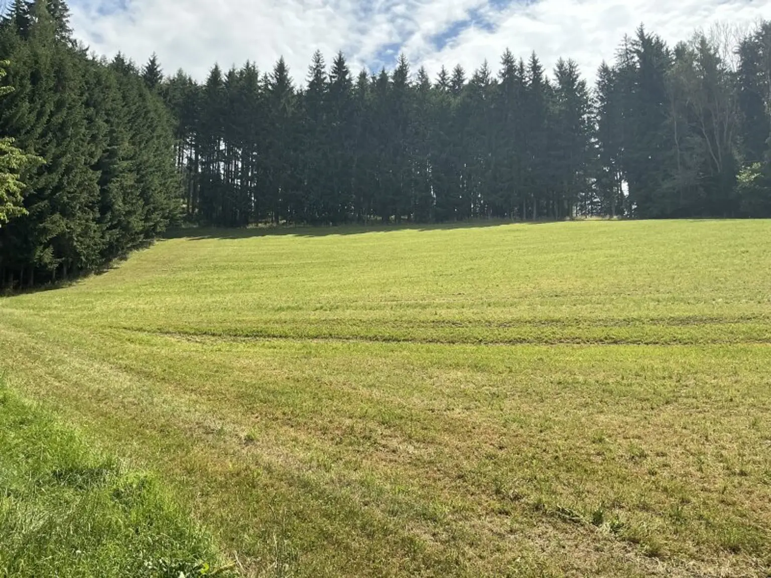 Pferdehof mit Panoramalage in Knittelfeld