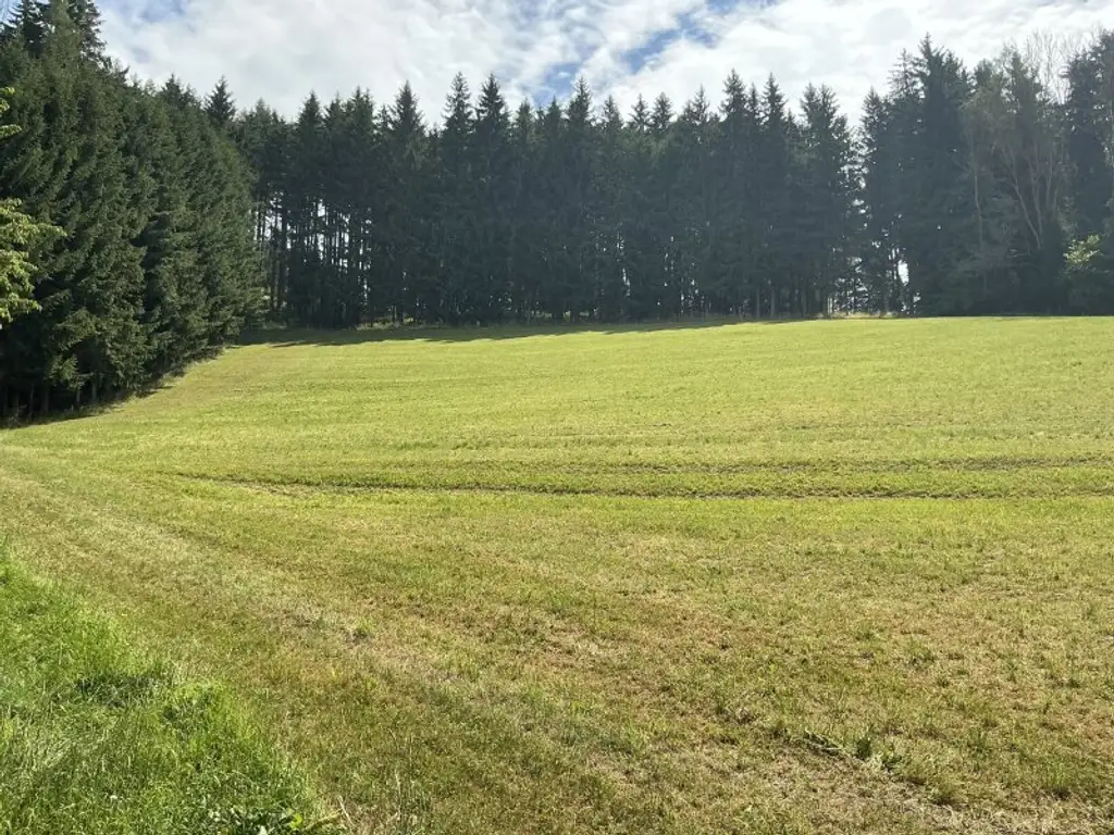 Pferdehof mit Panoramalage in Knittelfeld