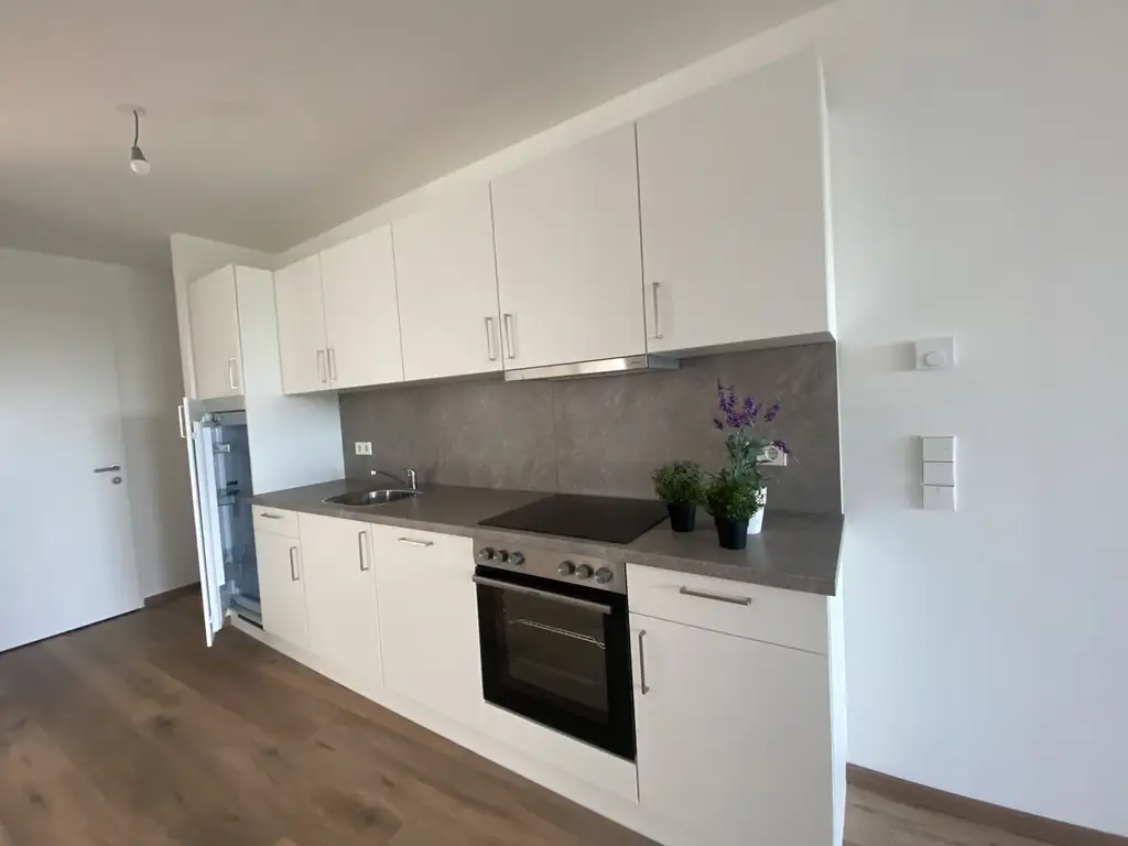 ERSTBEZUG Top Wohnung U3 2 Zimmer + Terrasse - 1 bedroom apartment + terrace U3 = DAS LAURENZ=