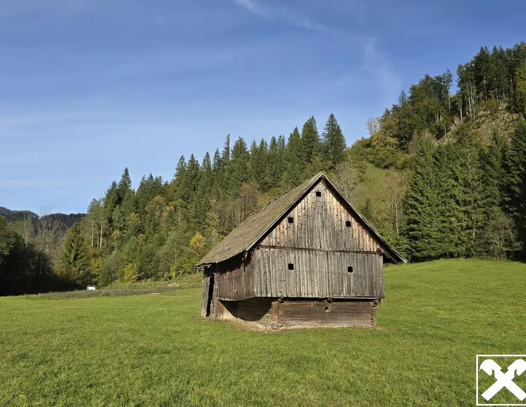 Grundstücke mit Zukunft - vielseitig nutzbare Wald- und Wiesenflächen in idyllischer Lage von Bad Eisenkappel
