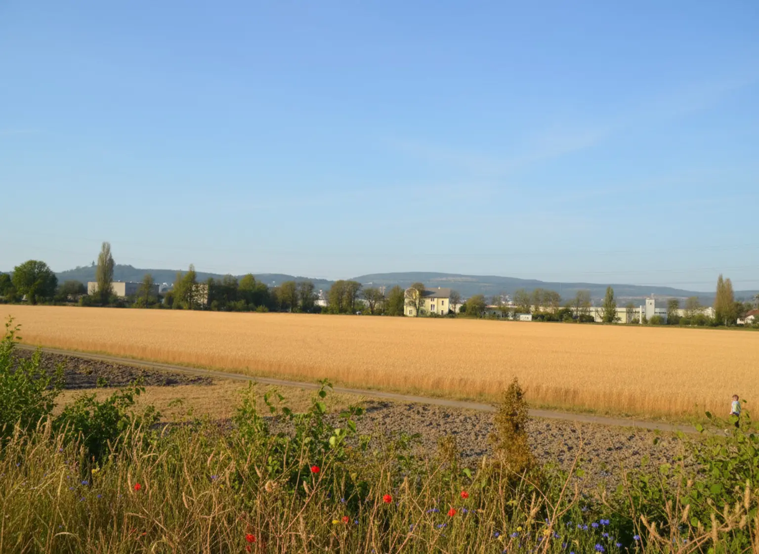 >> MIETHAUS mit 6 ZIMMER, DOPPELGARAGE, KELLER und EIGENGARTEN, am ORTSRAND!