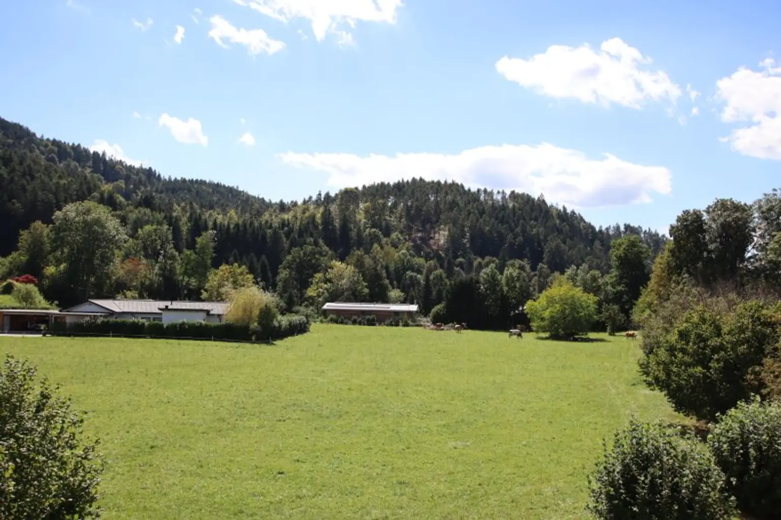 Sonnige & ruhige 3 Zi Wohnung 95,00m² mit Loggia in Maria Saal - Ratzendorf - Wohnen im Grünen!