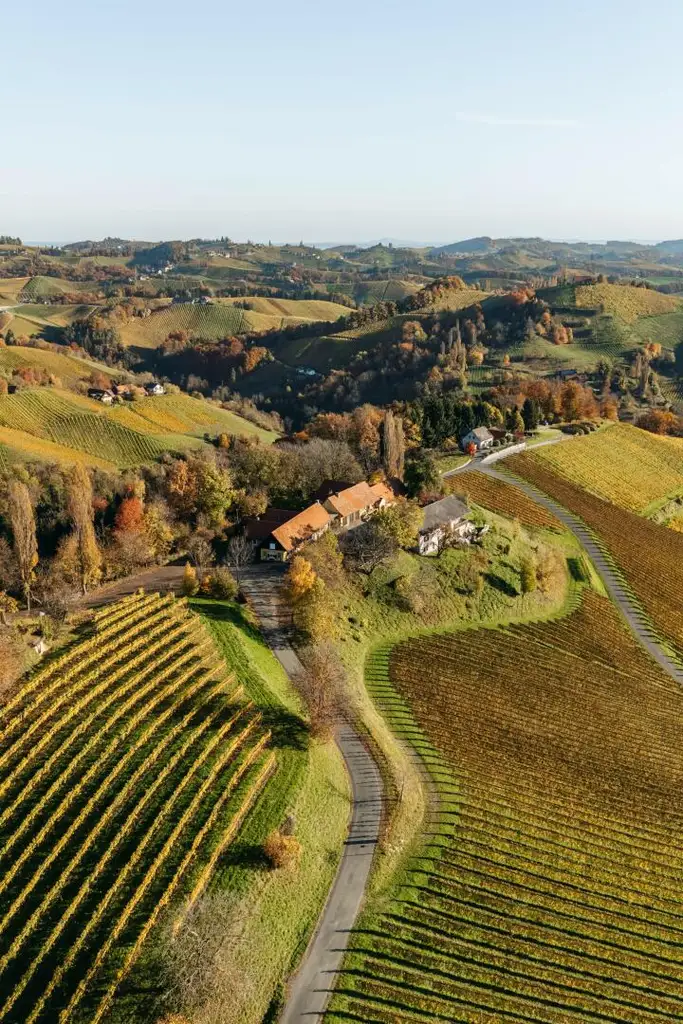 Buschenschank/Heuriger Eory zum Traubenkogel zu verkaufen!