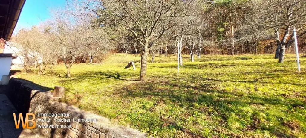 Panorama 200m² WFL, 2 Wohngeschoße, großer Garten, Obstbäume, Wald