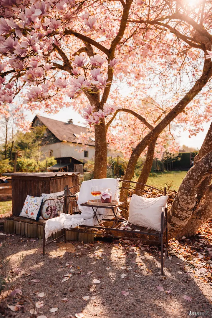 Gemütliche Gartenidylle unter Magnolie