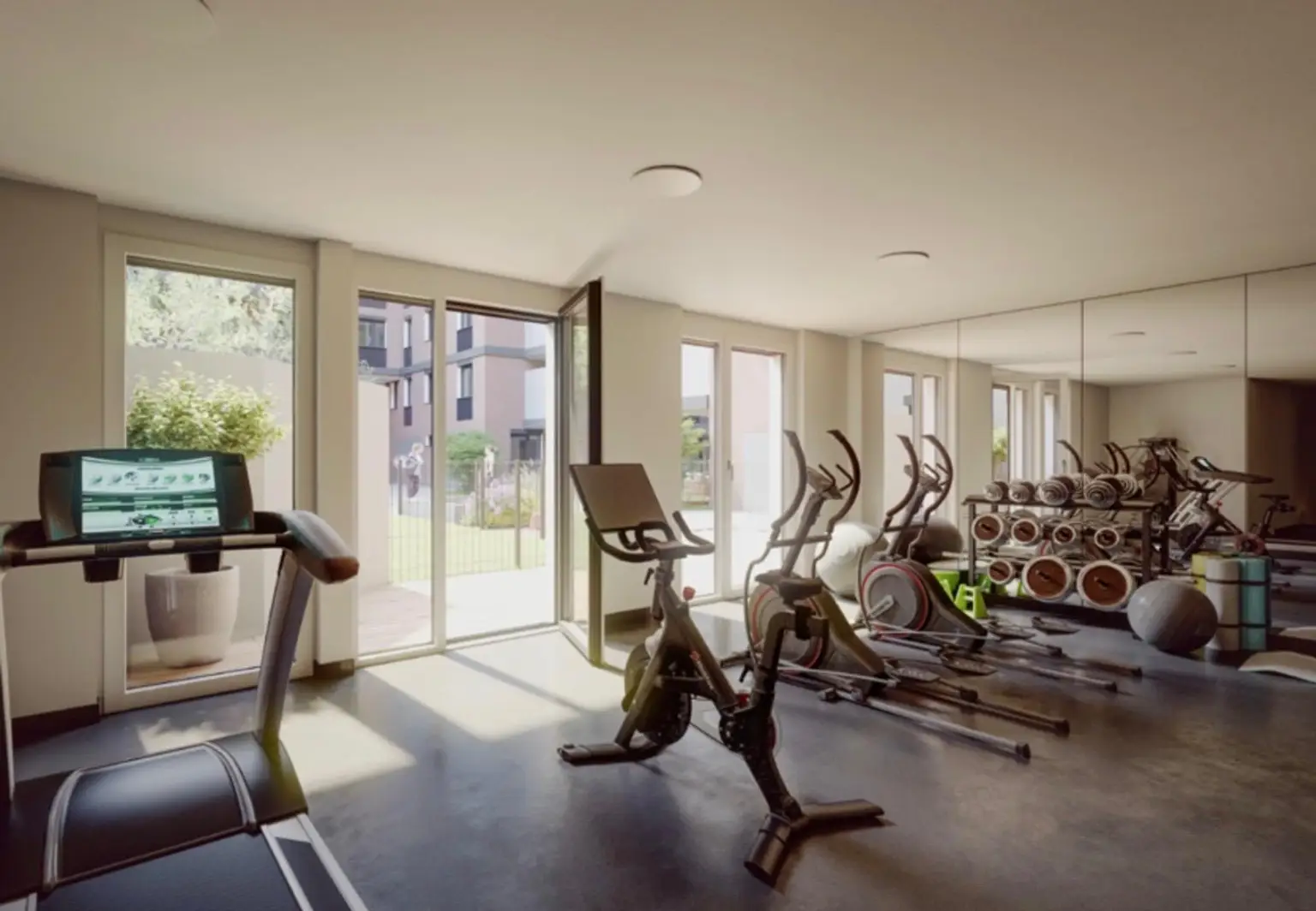 Gym.jpeg