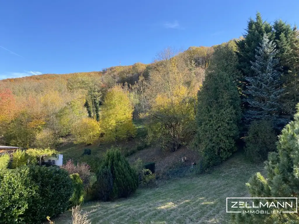 Ein Ort mit Perspektive – Sonniges Grundstück mit entkerntem Bestandsgebäude in Breitenfurt | ZELLMANN IMMOBILIEN