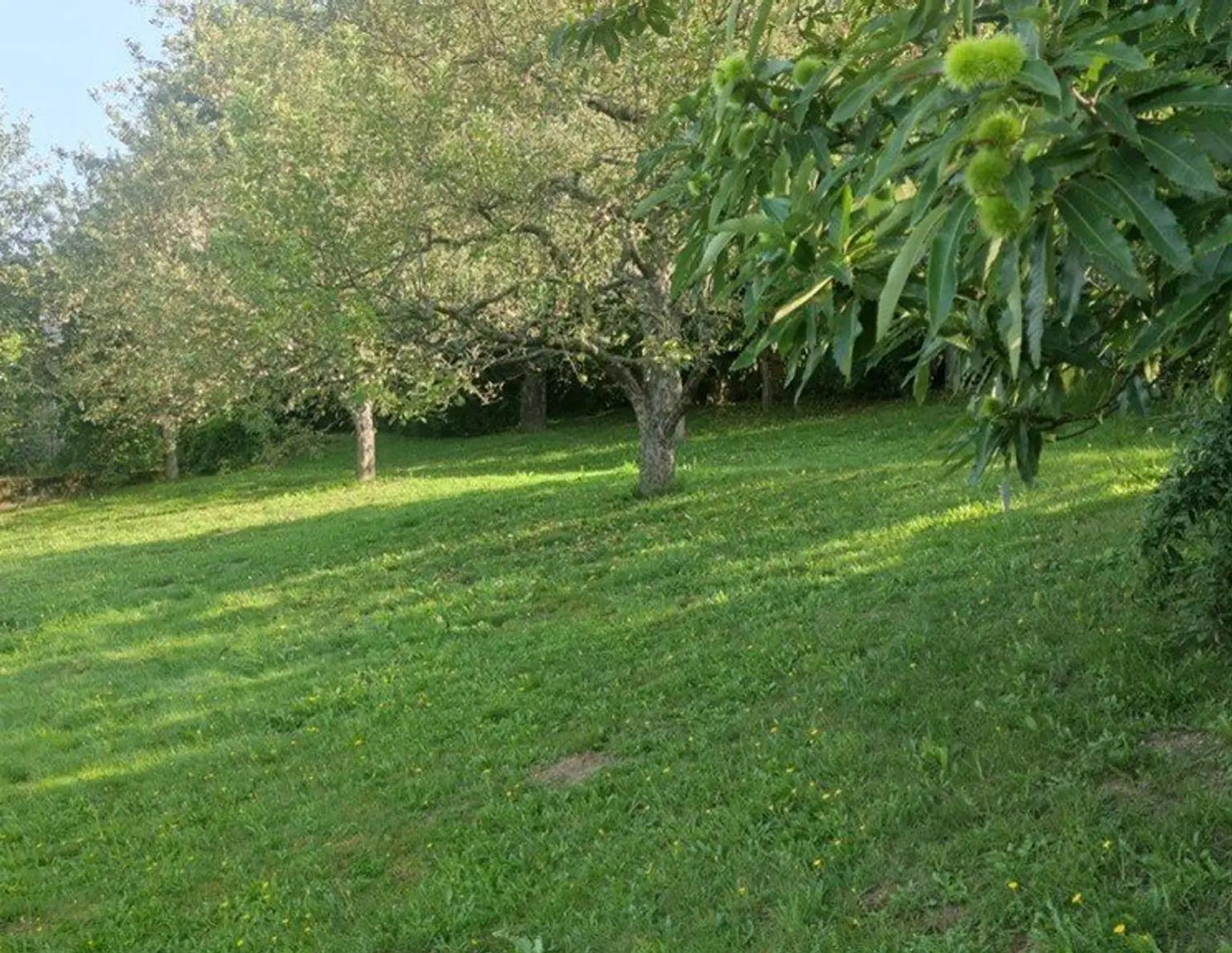 Traumhaftes Baugrundstück in Moosburg, Kärnten - 877 m² für Ihre Wohnträume!