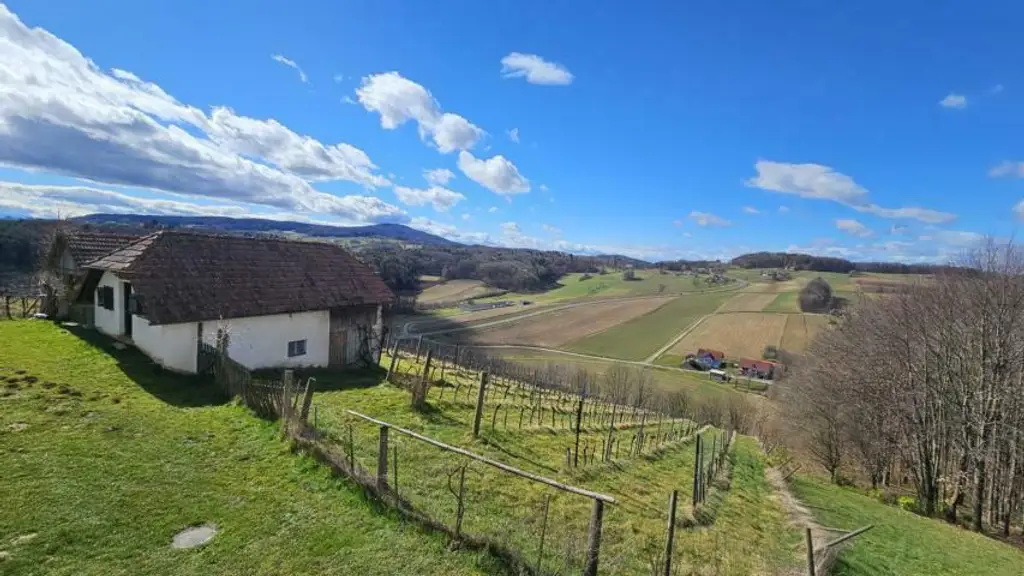 ** Geschmackvolles Zweifamilienwohnhaus - ca. 19ha LW-Fläche mit Wald ** unvergleichbarer Panoramablick auf Schloss Kapfenstein und das steirische Hügelland **