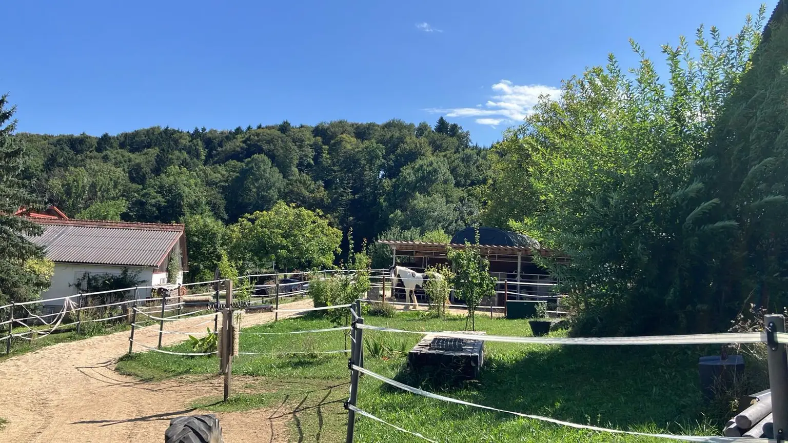 Deine Tiere und Du - bei Feldbach