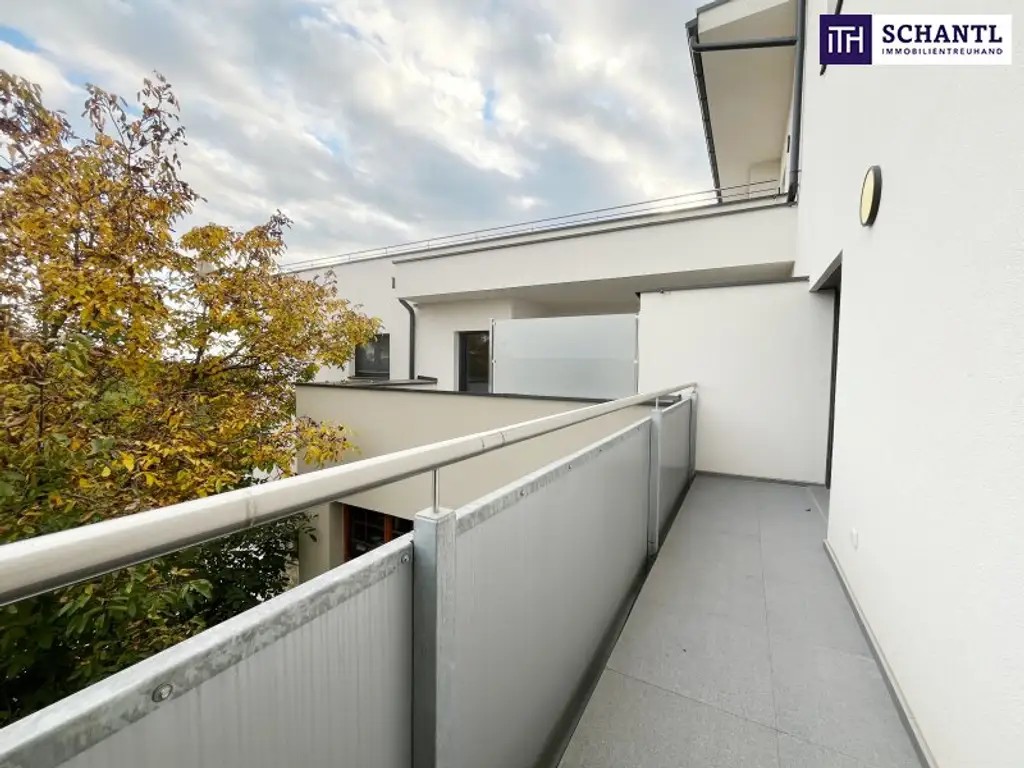 Entzückende, moderne, vollmöblierte Garconniere mit 40m² - 3D-Rundgang vorhanden!