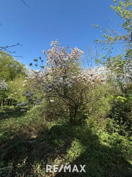 1170 / Idyllisches GRUNDSTÜCK (KLG) Eselstiege