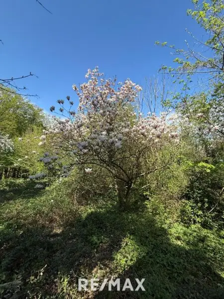 1170 / Idyllisches GRUNDSTÜCK (KLG) Eselstiege