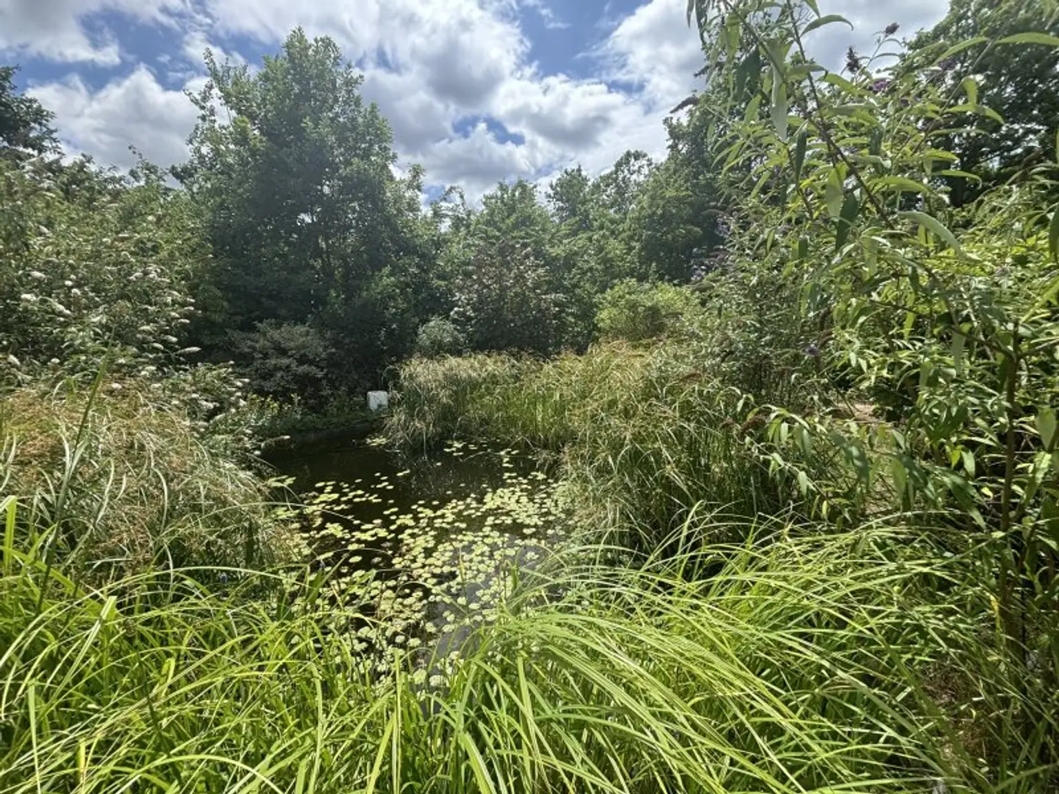 Luxus und Wohlbefinden - Traumvilla mit uneinsehbarem Garten in Grünlage