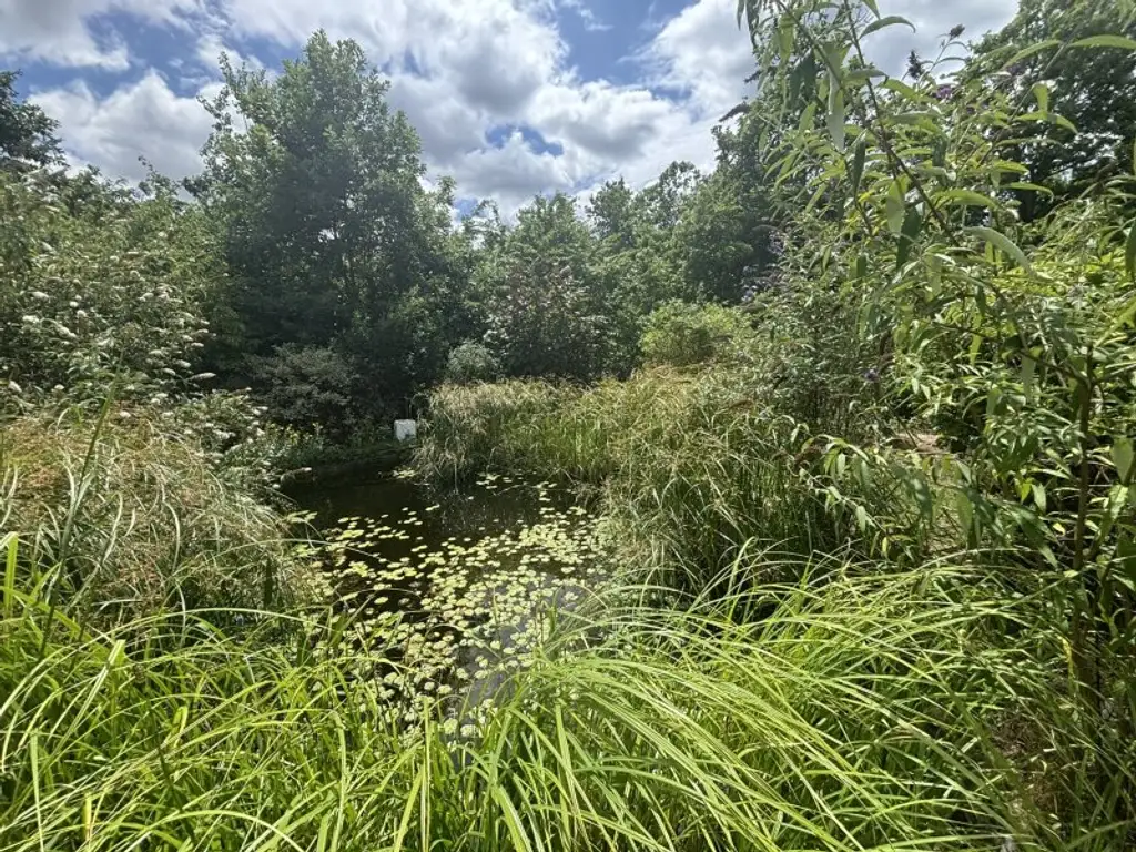 Luxus und Wohlbefinden - Traumvilla mit uneinsehbarem Garten in Grünlage
