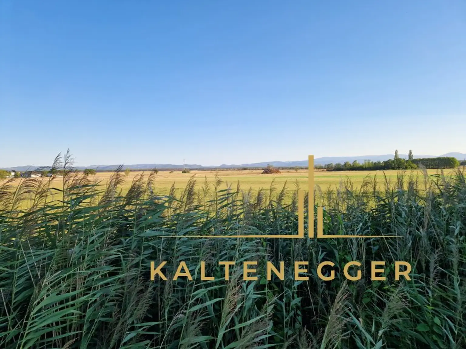 Aussicht vom Ende des Grundstücks auf die Felder