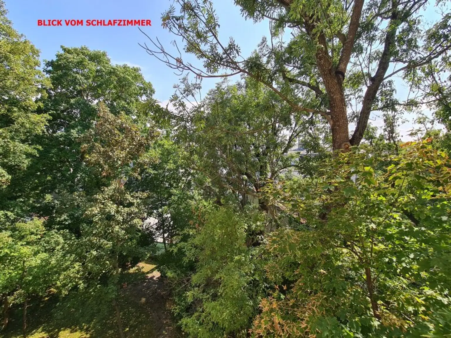 Grünblick