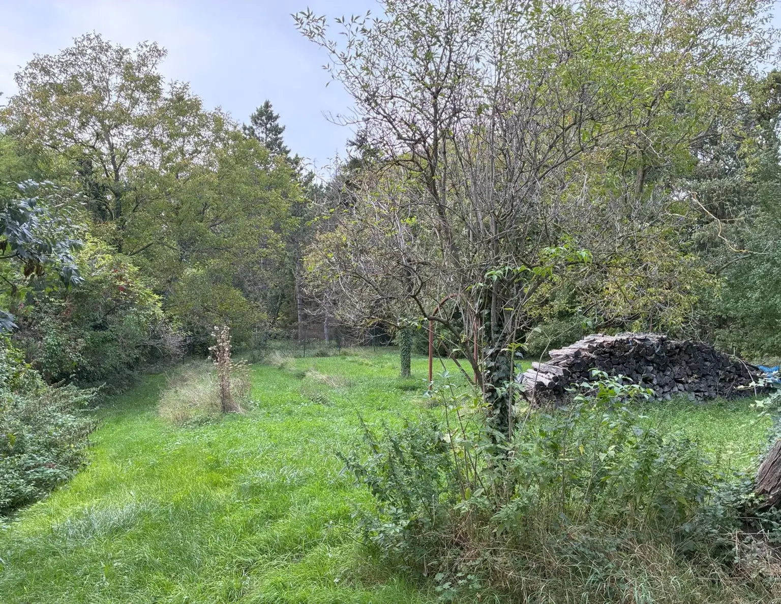 Exklusives Baugrundstück in begehrter Lage in Hinterbrühl - zu kaufen in 2371 Hinterbrühl