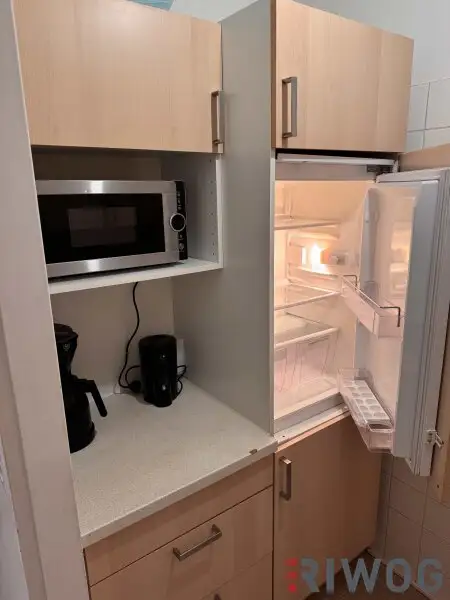 Südwestseitige Altbauwohnung nähe Laubepark - bezugsfertig und möbliert