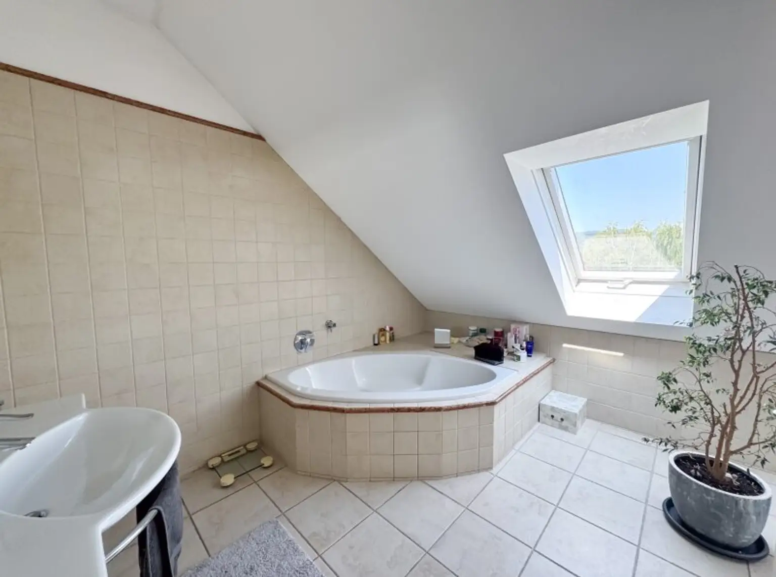 Einfamilienhaus mit Pool, Sauna & Wohnkeller auf Eigengrund in Toplage von Baden bei Wien