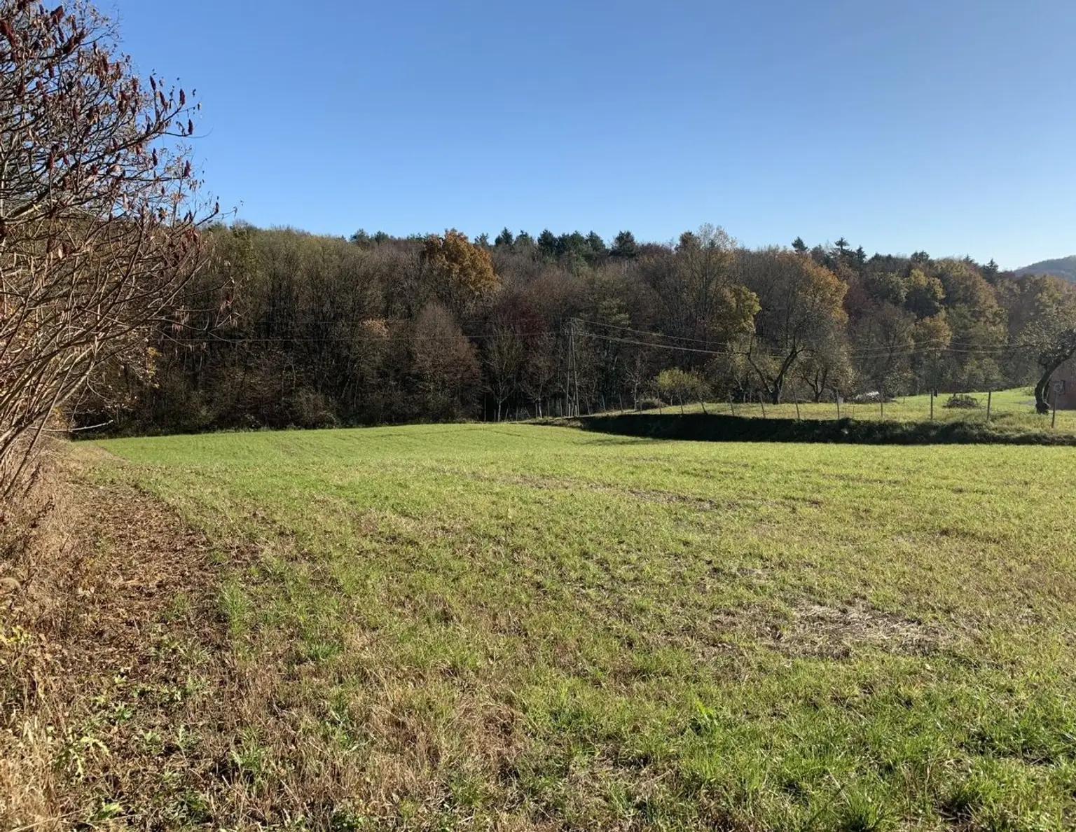 Baugrundstück, Toplage, leichte Süd-Hanglage, Nähe Loipersdorf und Jennersdorf