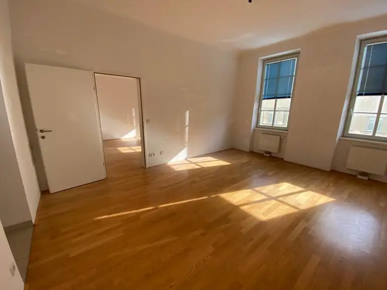Zimmer IV