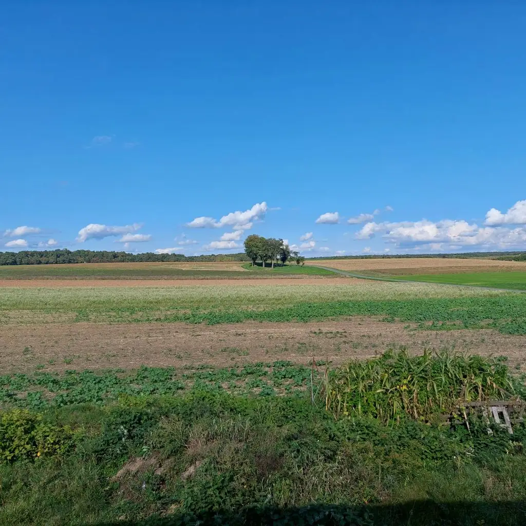 Doppelhaushälfte belagsfertig