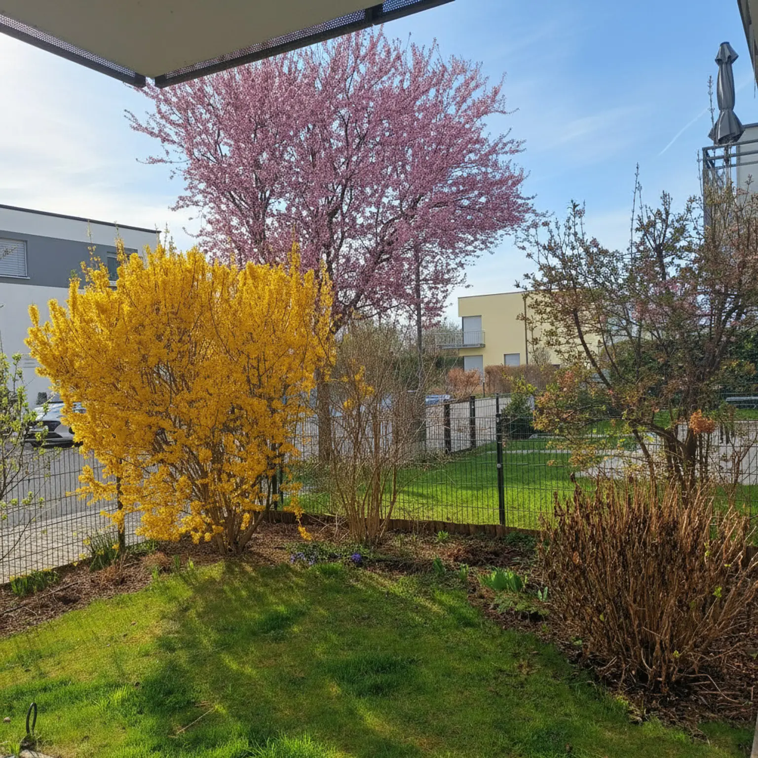 Wohnen am Felser See - mit Seezugang und Traumgarten